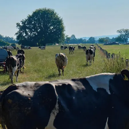 4 Kreuzstraße Laaschhof Nusbaum