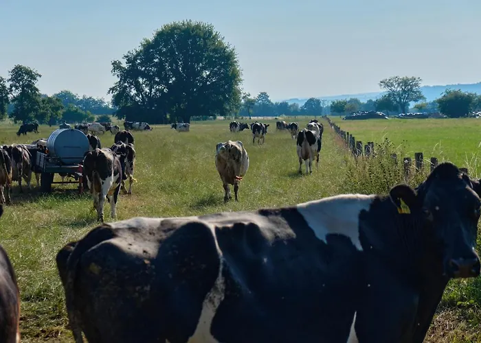 4 Kreuzstrasse Laaschhof Nusbaum